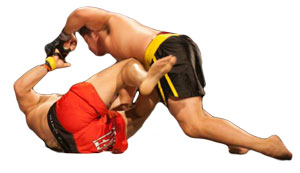 Kampfsportschule-Düsseldorf-MMA-Mixed-Martial-Arts-Training