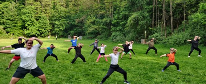 RTC Training auf der Wiese - Kung Fu