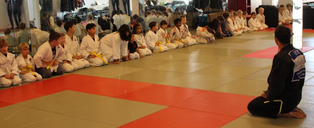 Kampfsportschule Düsseldorf Gerresheim Judo Kung Fu Taekwondo Capoeira