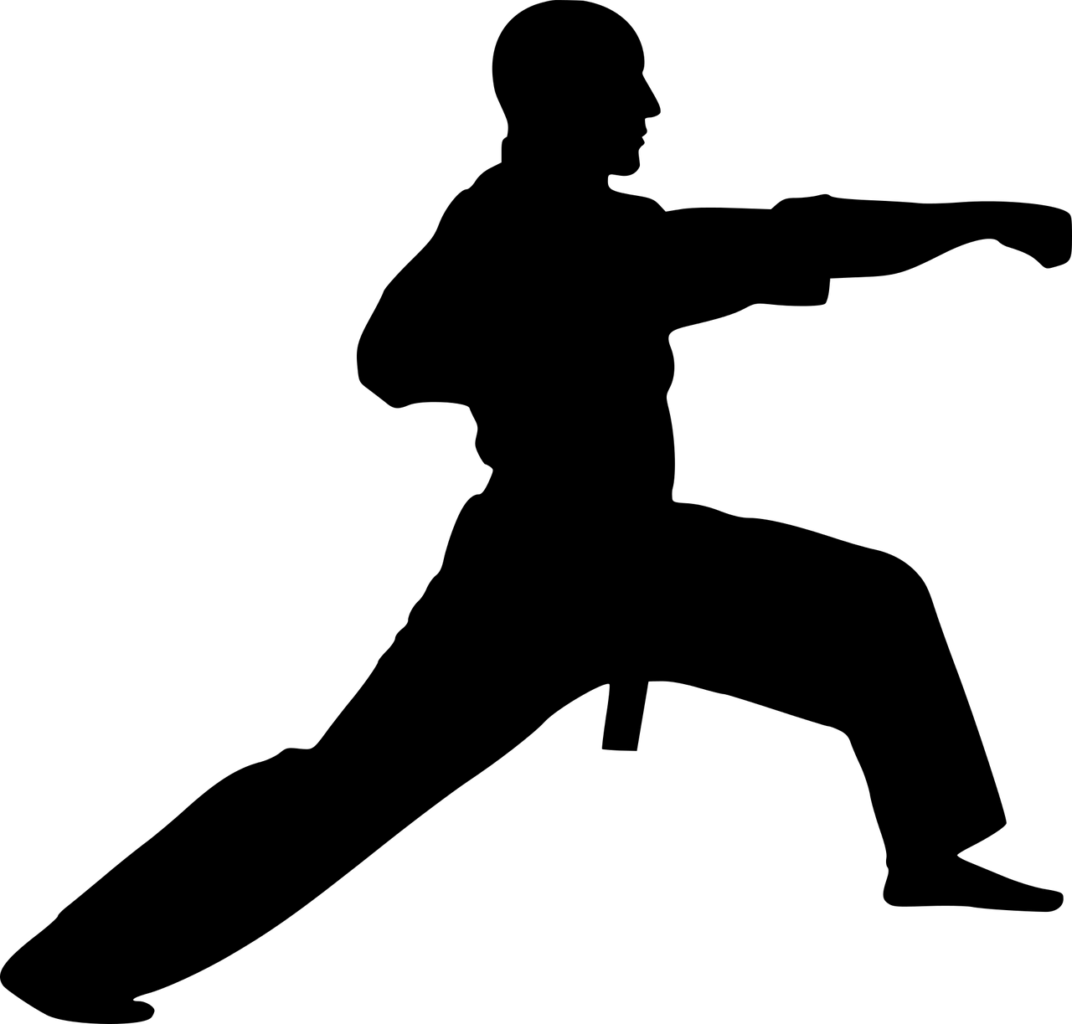 silhouette-3682521_1280